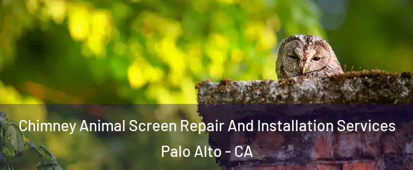  Chimney Animal Screen Repair And Installation Services Palo Alto - CA