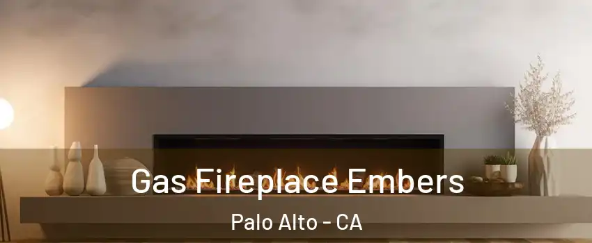  Gas Fireplace Embers Palo Alto - CA