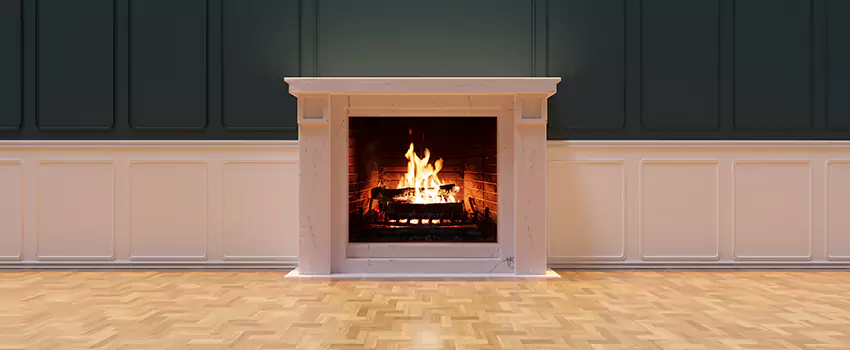 Napoleon Electric Fireplaces Inspection Service in Palo Alto, California