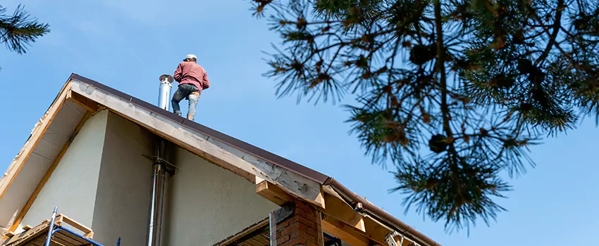 Birds Removal Contractors from Chimney in Palo Alto, CA