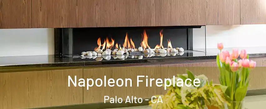  Napoleon Fireplace Palo Alto - CA